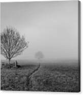 Into The Fog Canvas Print