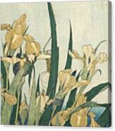Irises With A Grasshopper Canvas Print