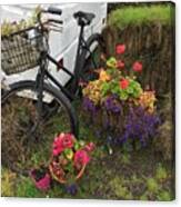 Irish Bike And Flowers Canvas Print