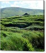 Irish Grasslands Canvas Print