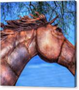 Iron Horse Canvas Print