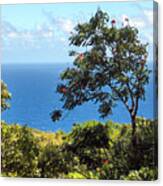 Island Breeze Canvas Print