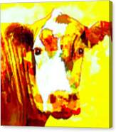 Yellow Cow Canvas Print