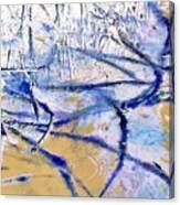 Blue Mangrove I.c. Canvas Print