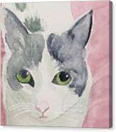Jackson The Cat Canvas Print