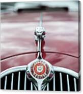 Jaguar Grille Canvas Print