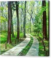 #japan #forest #wood #path #green Canvas Print