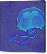 Jelly Fish Canvas Print