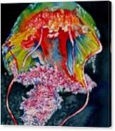 Jellyfish 2 Canvas Print