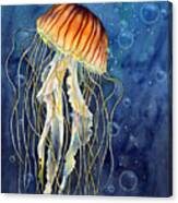 Jellyfish Canvas Print