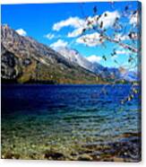 Jenny Lake Canvas Print