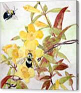 Jessamine Bee Mine Canvas Print