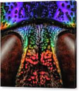 Jewel Beetle Detail Canvas Print