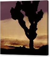 Joshua Tree Silo At Sunset Canvas Print