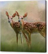 Joy Times Two Deer Art Canvas Print