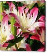 Joyful Lilies Canvas Print