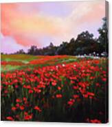 June Poppies Canvas Print