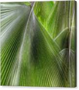 Jungle Palms Canvas Print