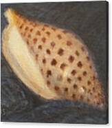 Junonia Canvas Print