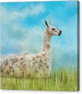 Just Chillin Canvas Print