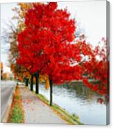 Kanawha Boulevard In Autumn Canvas Print