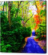 Kentucky Lane Canvas Print