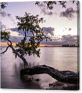 Key Biscayne - Miami, Florida - Travel Photography Canvas Print