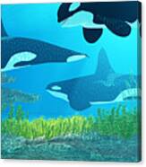 Killer Whale Reef Canvas Print