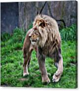 King In Profile Canvas Print