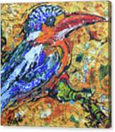 Kingfisher_1 Canvas Print