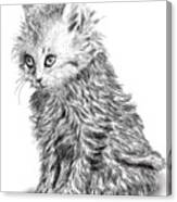 Kitten #1 Canvas Print