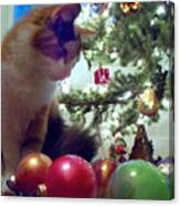 Kitty Helps Decorate The Tree Christmas Card Canvas Print