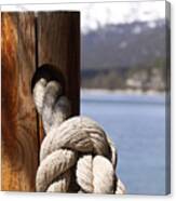 Knot In Tahoe Canvas Print