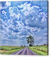 Knowing The Right Way Canvas Print