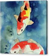 Koi Fish 3 Canvas Print