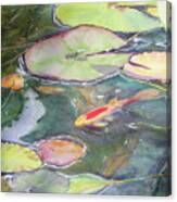 Koi Pond 2 Canvas Print