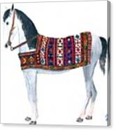 Kurdistan Pony Canvas Print