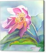 La Fleur Rose Canvas Print