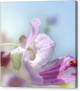 Lady Bug On Flower Canvas Print