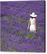 Lady In Lavender Field Canvas Print
