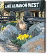 Lake Almanor West Entry Sign Canvas Print