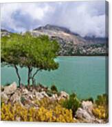 Lake Cuber Canvas Print