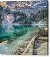 Lake O'hara Scenic Shoreline Canvas Print