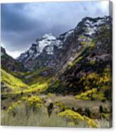 Lamoille Canyon In Fall Canvas Print