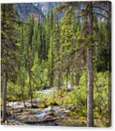 Landscape Rocky Mountains Canvas Print