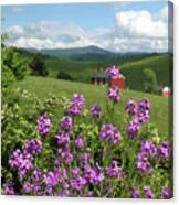 Landscape With Purple Flowers Canvas Print
