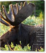 Large Bull Moose In Summer Velvet Canvas Print