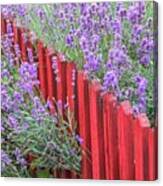 Lavender Around A Red Wooden Fence Canvas Print