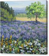 Lavender And Wildflowers Canvas Print