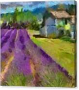 Lavender In Provance Canvas Print